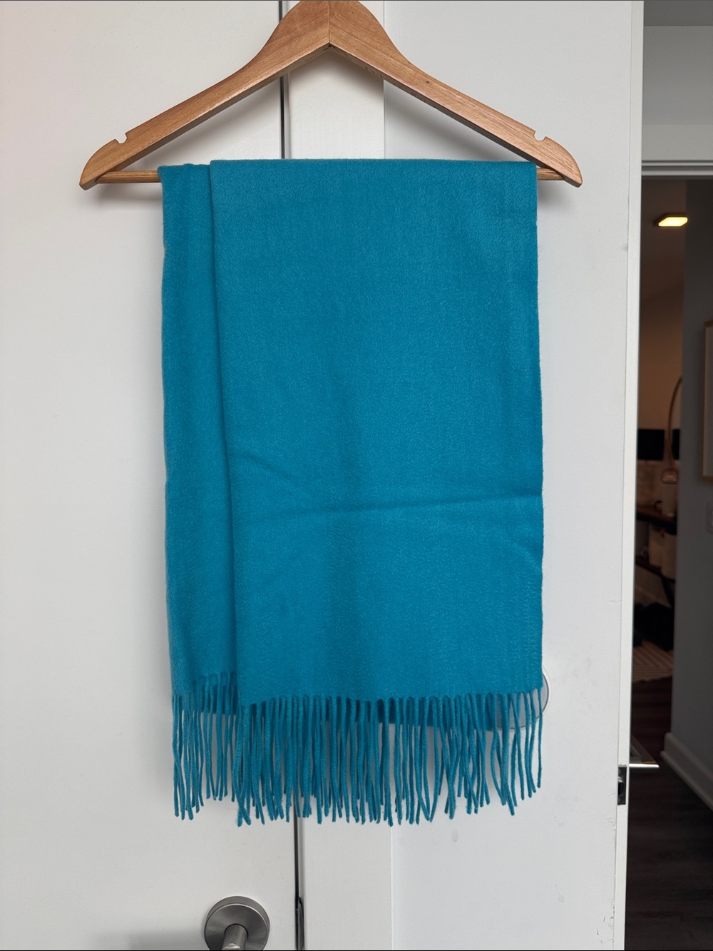 Teal Fringe Scarf - Women's Accessory